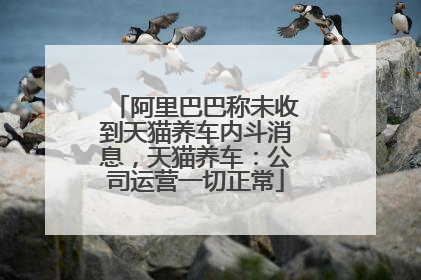 阿里巴巴称未收到天猫养车内斗消息，天猫养车：公司运营一切正常