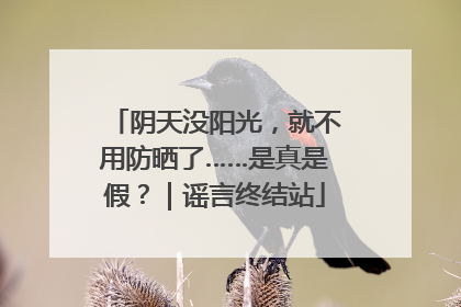 阴天没阳光，就不用防晒了……是真是假？｜谣言终结站