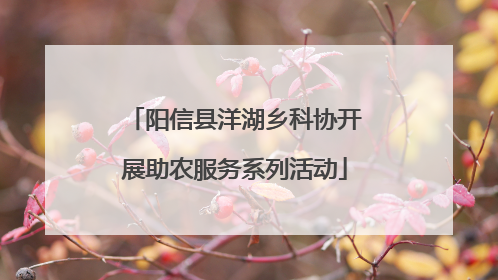 阳信县洋湖乡科协开展助农服务系列活动