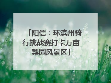 阳信：环滨州骑行挑战赛打卡万亩梨园风景区