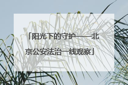 阳光下的守护——北京公安法治一线观察