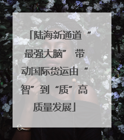 陆海新通道“最强大脑” 带动国际货运由“智”到“质”高质量发展