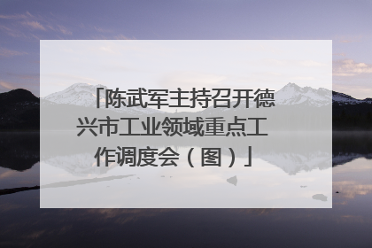 陈武军主持召开德兴市工业领域重点工作调度会（图）