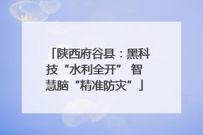 陕西府谷县：黑科技“水利全开” 智慧脑“精准防灾”