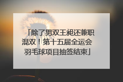 除了男双王昶还兼职混双！第十五届全运会羽毛球项目抽签结束