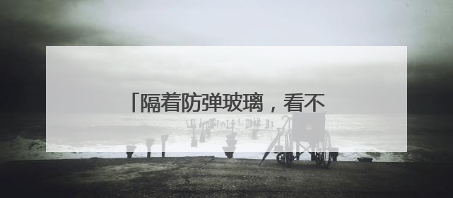 隔着防弹玻璃，看不见“美国再次伟大”