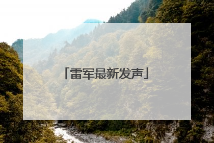 雷军最新发声
