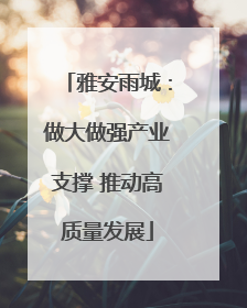 雅安雨城：做大做强产业支撑 推动高质量发展
