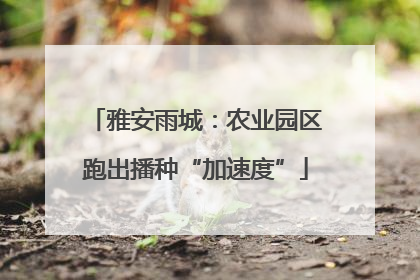 雅安雨城：农业园区跑出播种“加速度”