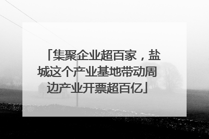 集聚企业超百家，盐城这个产业基地带动周边产业开票超百亿