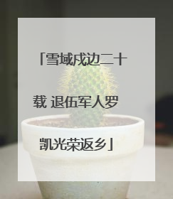 雪域戍边二十载 退伍军人罗凯光荣返乡