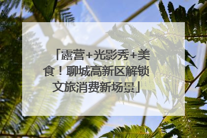 露营+光影秀+美食！聊城高新区解锁文旅消费新场景