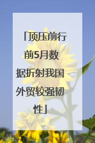 顶压前行 前5月数据折射我国外贸较强韧性
