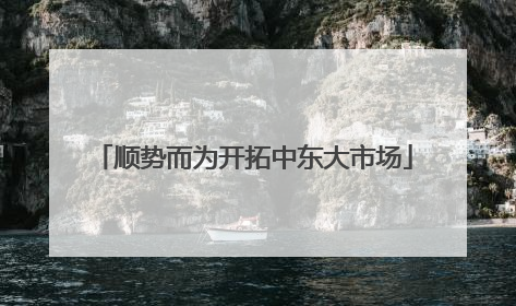 顺势而为开拓中东大市场