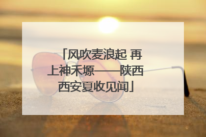 风吹麦浪起 再上神禾塬——陕西西安夏收见闻