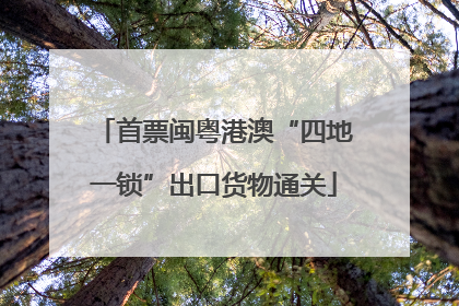 首票闽粤港澳“四地一锁”出口货物通关