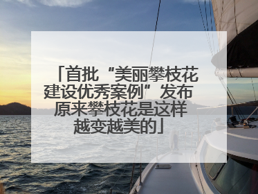 首批“美丽攀枝花建设优秀案例”发布 原来攀枝花是这样越变越美的