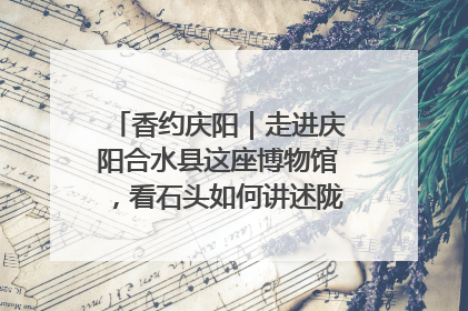 香约庆阳｜走进庆阳合水县这座博物馆，看石头如何讲述陇东千年历史