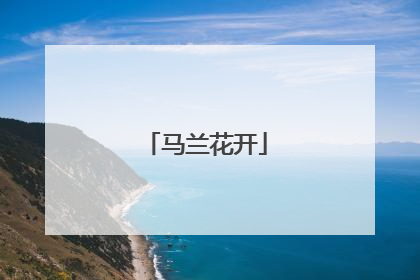 马兰花开