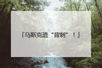 马斯克遭“背刺”！