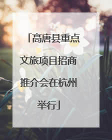 高唐县重点文旅项目招商推介会在杭州举行