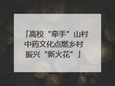 高校“牵手”山村 中药文化点燃乡村振兴“新火花”