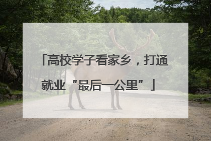 高校学子看家乡，打通就业“最后一公里”