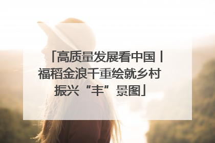 高质量发展看中国丨福稻金浪千重绘就乡村振兴“丰”景图