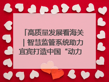 高质量发展看海关｜智慧监管系统助力宜宾打造中国“动力电池之都”