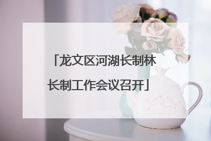 龙文区河湖长制林长制工作会议召开