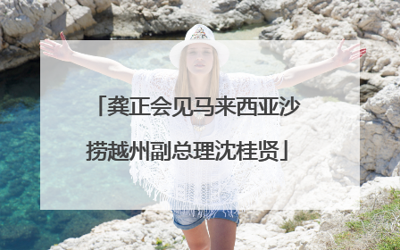 龚正会见马来西亚沙捞越州副总理沈桂贤