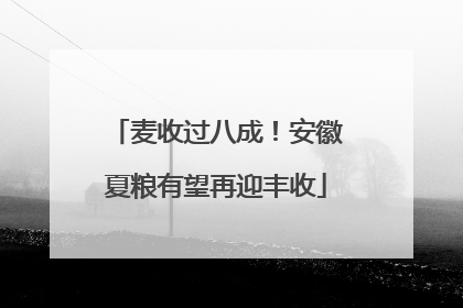 麦收过八成！安徽夏粮有望再迎丰收