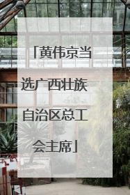 黄伟京当选广西壮族自治区总工会主席