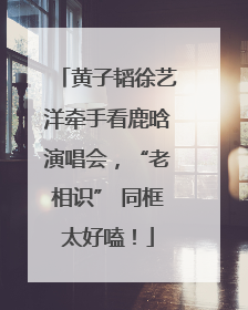 黄子韬徐艺洋牵手看鹿晗演唱会，“老相识” 同框太好嗑！