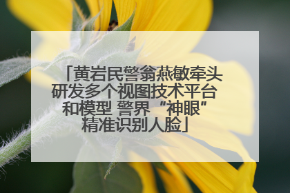 黄岩民警翁燕敏牵头研发多个视图技术平台和模型 警界“神眼”精准识别人脸