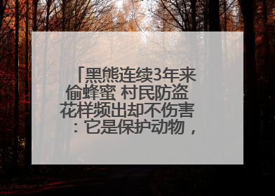 黑熊连续3年来偷蜂蜜 村民防盗花样频出却不伤害：它是保护动物，我有保险兜底