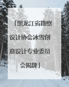 黑龙江省勘察设计协会冰雪创意设计专业委员会揭牌