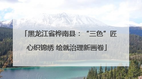 黑龙江省桦南县：“三色”匠心织锦绣 绘就治理新画卷