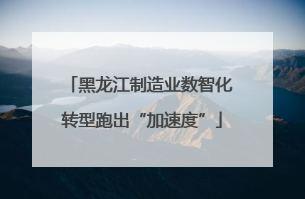 黑龙江制造业数智化转型跑出“加速度”