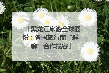 黑龙江旅游全球圈粉：各国旅行商“群聊”合作揽客