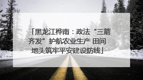 黑龙江桦南：政法“三箭齐发”护航农业生产 田间地头筑牢平安建设防线