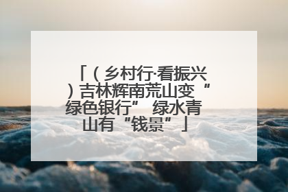 （乡村行·看振兴）吉林辉南荒山变“绿色银行” 绿水青山有“钱景”