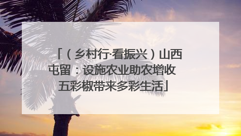 （乡村行·看振兴）山西屯留：设施农业助农增收 五彩椒带来多彩生活