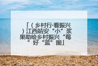 （乡村行·看振兴）江西靖安“小”浆果助绘乡村振兴“莓”好“蓝”图