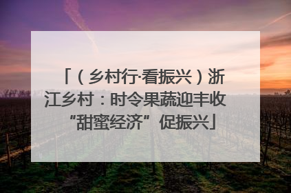 （乡村行·看振兴）浙江乡村：时令果蔬迎丰收 “甜蜜经济”促振兴