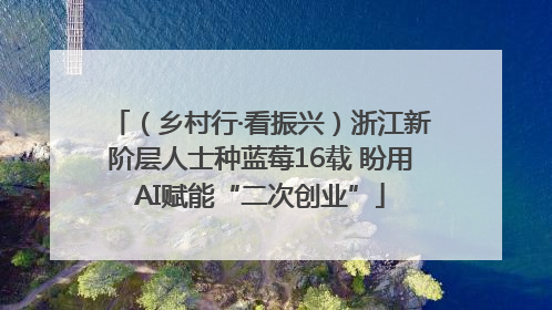 （乡村行·看振兴）浙江新阶层人士种蓝莓16载 盼用AI赋能“二次创业”