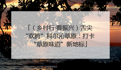 （乡村行·看振兴）舌尖“欢腾”科尔沁草原：打卡“草原味道”新地标