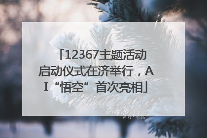 12367主题活动启动仪式在济举行，AI“悟空”首次亮相