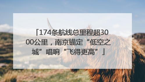 174条航线总里程超3000公里，南京锚定“低空之城”唱响“飞得更高”