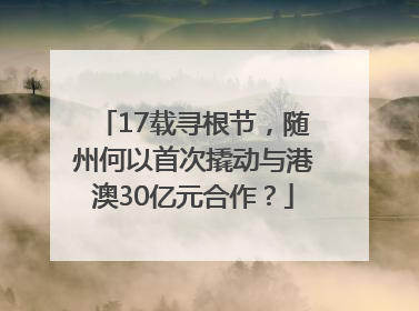 17载寻根节，随州何以首次撬动与港澳30亿元合作？